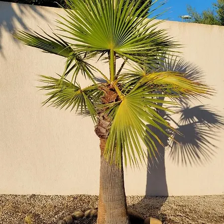 Palm' Issambres 6-8 Personnes Avec Piscine Et Jardin Privés La Garonnette-Plage