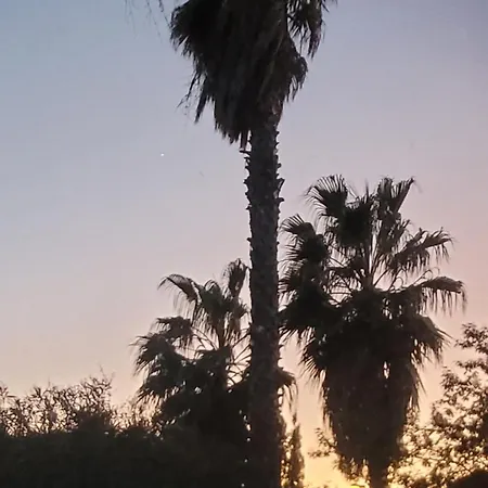 Palm' Issambres 6-8 Personnes Avec Piscine Et Jardin Privés