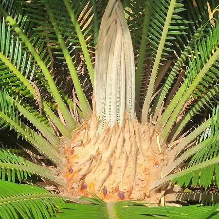 Palm' Issambres 6-8 Personnes Avec Piscine Et Jardin Privés