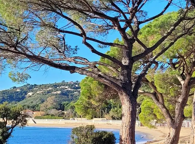 Palm' Issambres 6-7 Personnes, Clim, Avec Piscine, Jardin Et Parking Prives