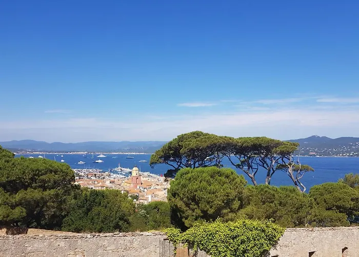 Palm' Issambres 6-7 Personnes, Clim, Avec Piscine, Jardin Et Parking Prives Villa