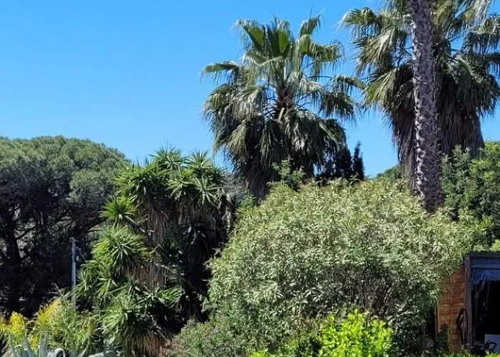 Palm' Issambres 6-7 Personnes, Clim, Avec Piscine, Jardin Et Parking Prives *