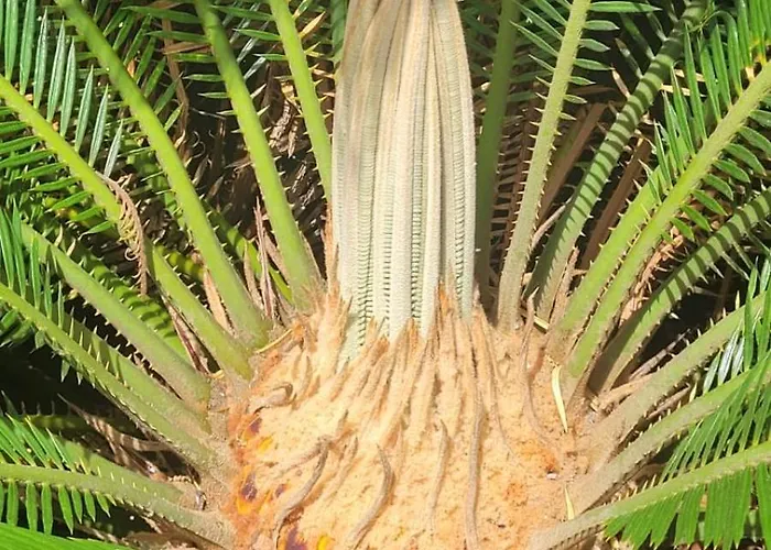 Palm' Issambres 6-7 Personnes, Clim, Avec Piscine, Jardin Et Parking Prives